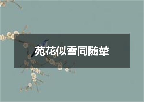 苑花似雪同随辇