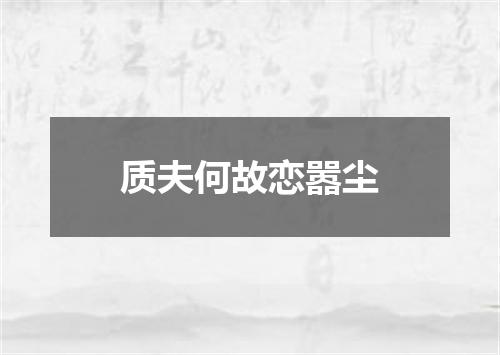 质夫何故恋嚣尘