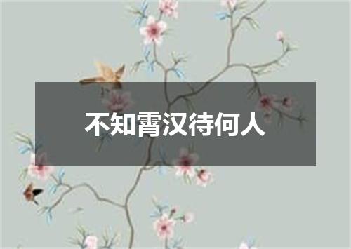 不知霄汉待何人