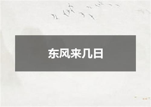 东风来几日