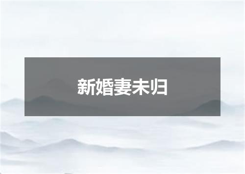 新婚妻未归
