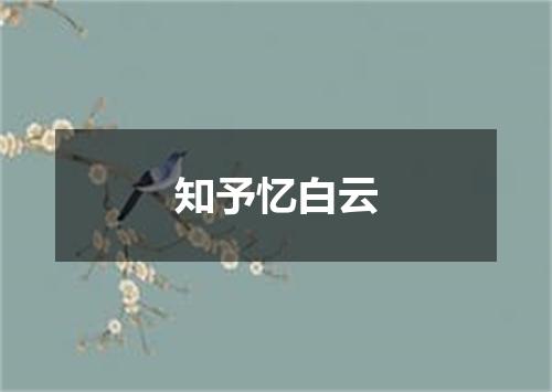 知予忆白云