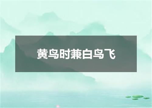 黄鸟时兼白鸟飞
