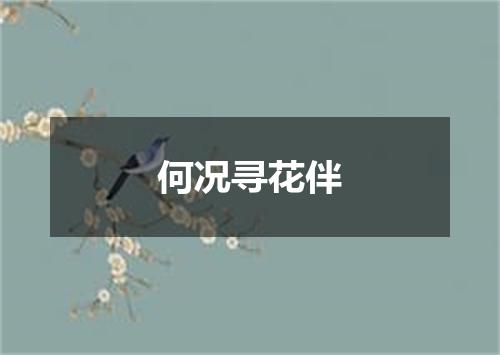 何况寻花伴