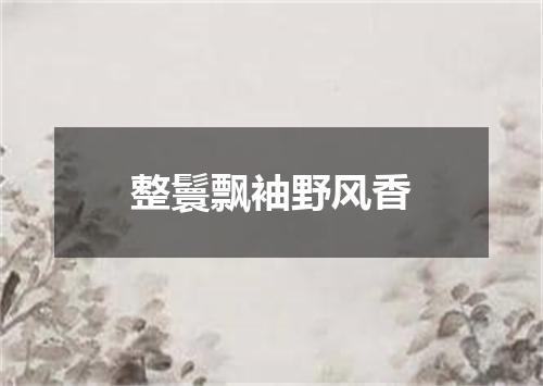 整鬟飘袖野风香