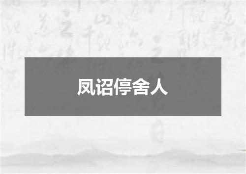 凤诏停舍人