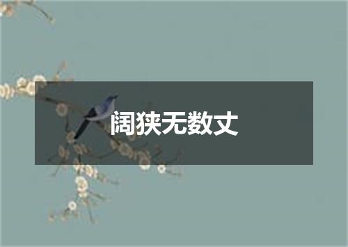 阔狭无数丈