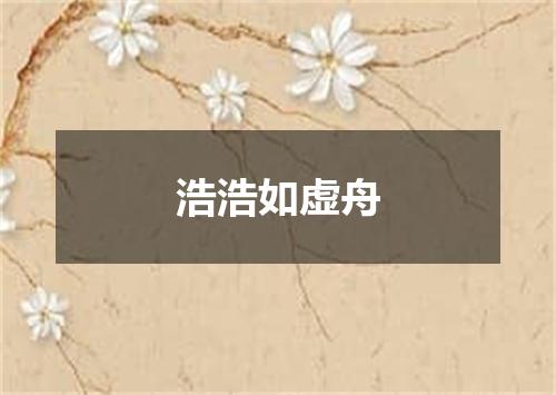 浩浩如虚舟
