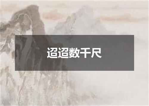 迢迢数千尺
