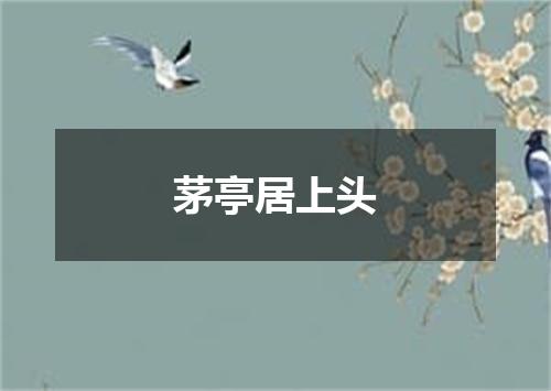 茅亭居上头