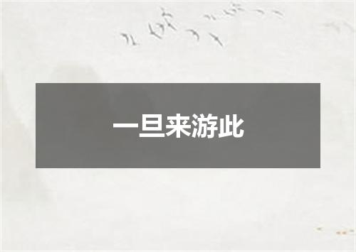 一旦来游此