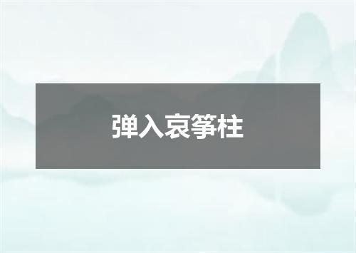 弹入哀筝柱