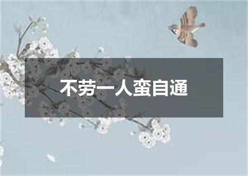 不劳一人蛮自通