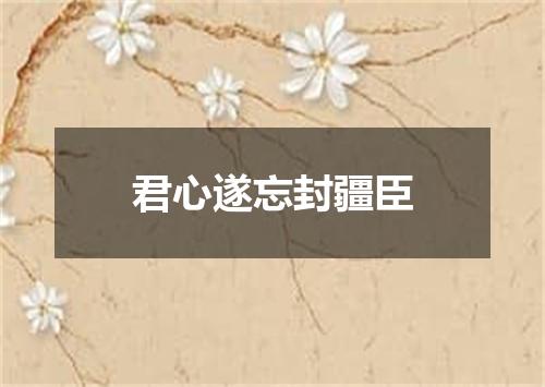 君心遂忘封疆臣