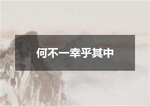 何不一幸乎其中