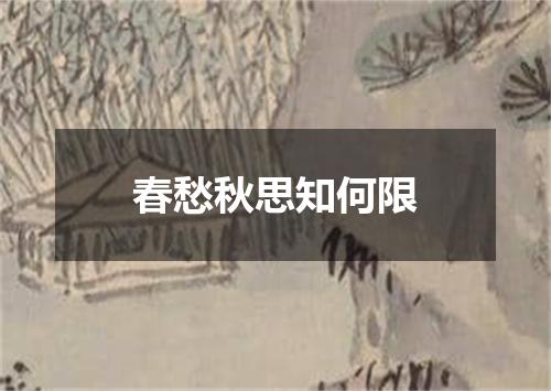 春愁秋思知何限