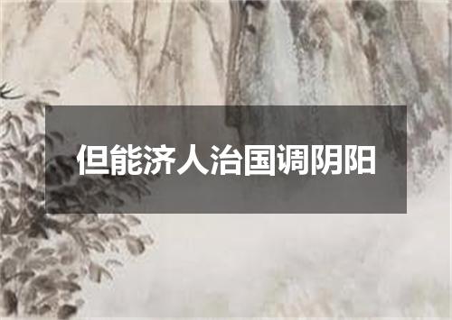 但能济人治国调阴阳
