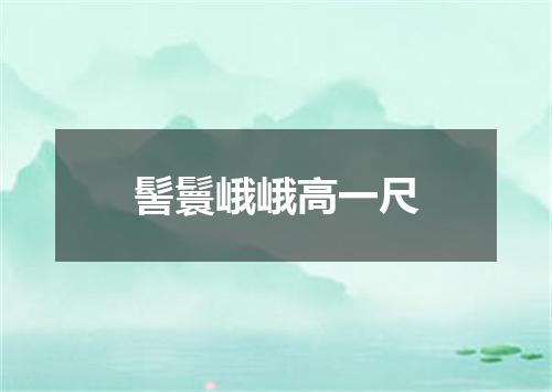 髻鬟峨峨高一尺