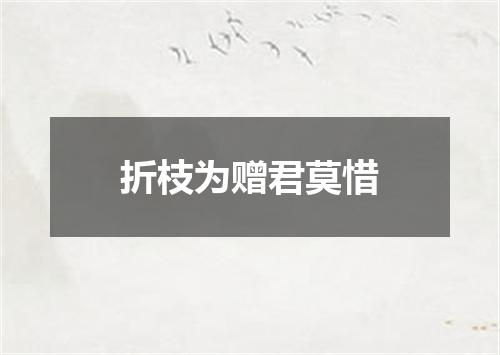 折枝为赠君莫惜