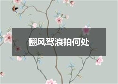 翻风驾浪拍何处