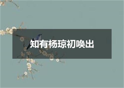 知有杨琼初唤出