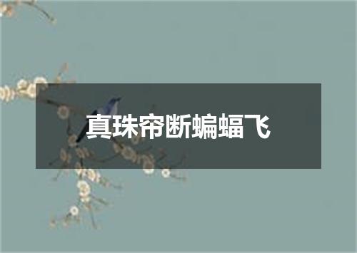 真珠帘断蝙蝠飞