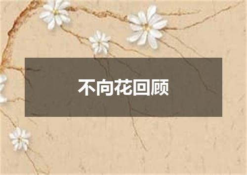 不向花回顾