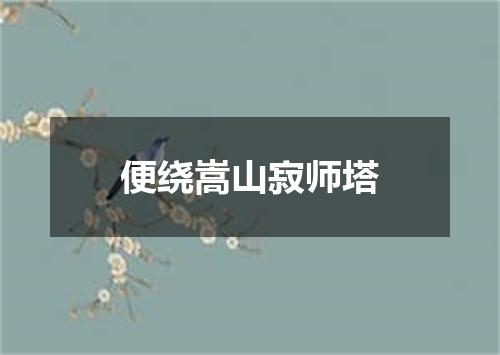 便绕嵩山寂师塔