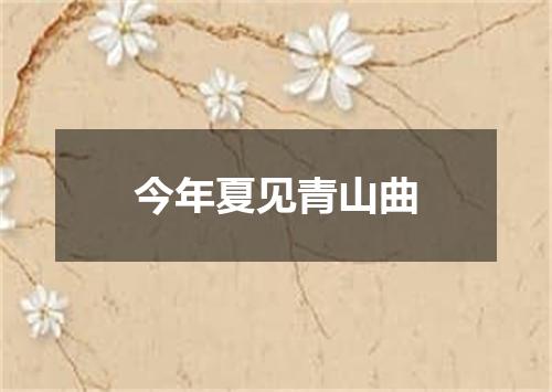 今年夏见青山曲