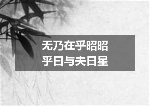 无乃在乎昭昭乎曰与夫日星