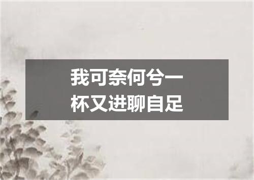 我可奈何兮一杯又进聊自足