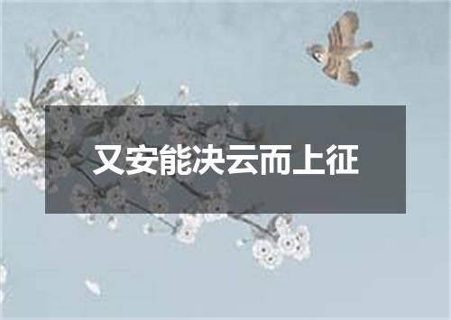 又安能决云而上征