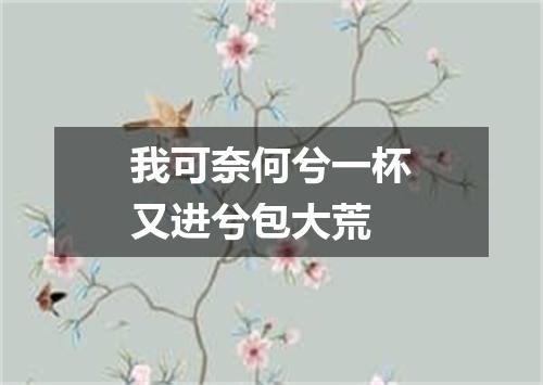 我可奈何兮一杯又进兮包大荒
