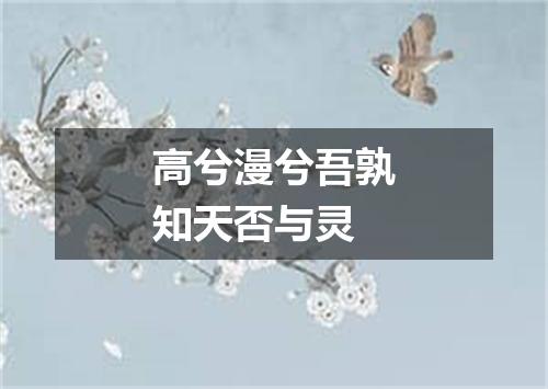 高兮漫兮吾孰知天否与灵