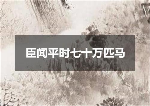 臣闻平时七十万匹马