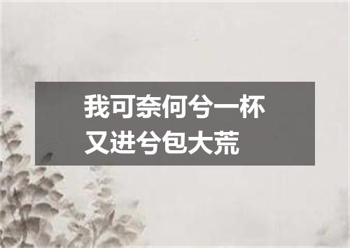 我可奈何兮一杯又进兮包大荒