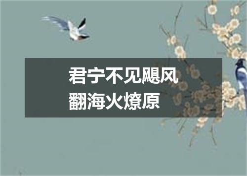 君宁不见飓风翻海火燎原