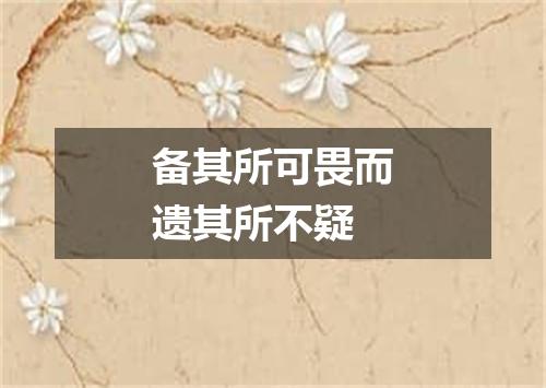 备其所可畏而遗其所不疑
