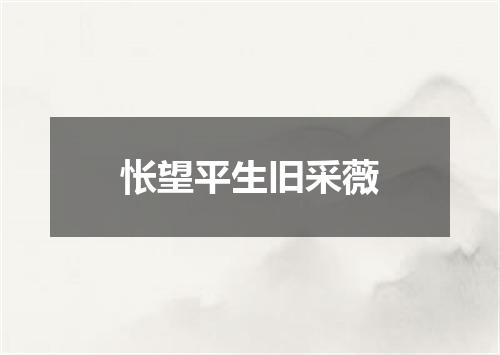 怅望平生旧采薇