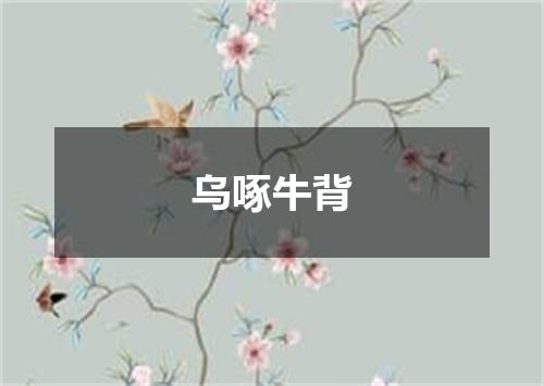 乌啄牛背