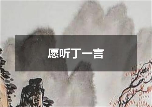 愿听丁一言