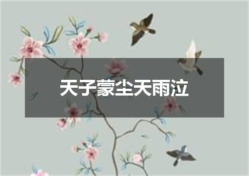 天子蒙尘天雨泣