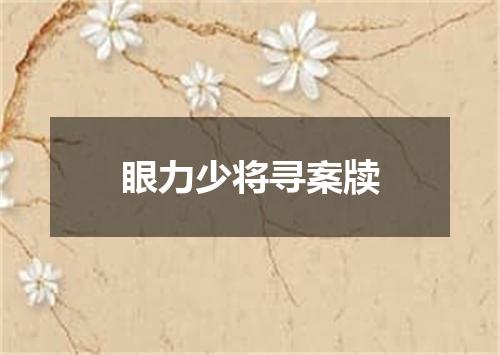 眼力少将寻案牍