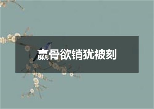 羸骨欲销犹被刻