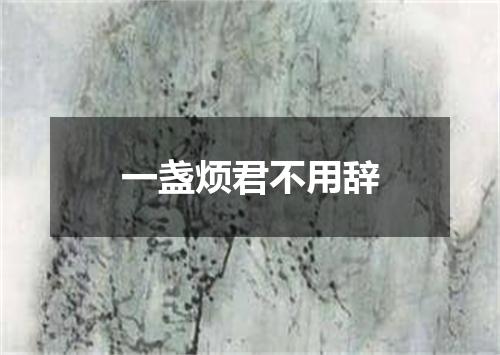 一盏烦君不用辞