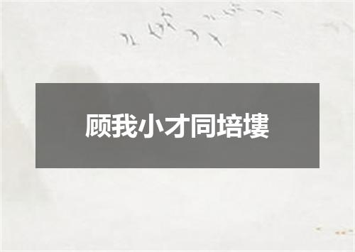 顾我小才同培塿