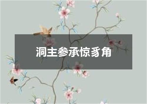 洞主参承惊豸角