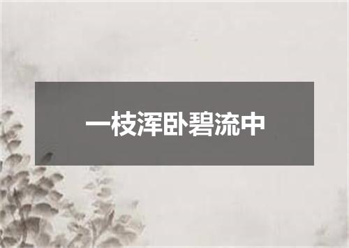 一枝浑卧碧流中