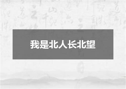 我是北人长北望