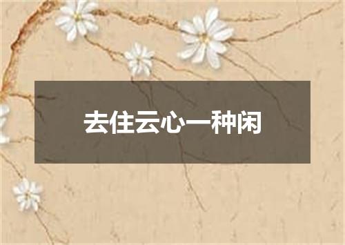 去住云心一种闲